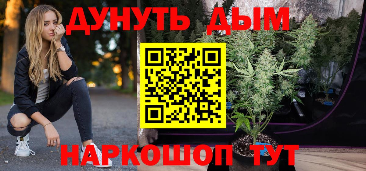Канабис план Щёкино